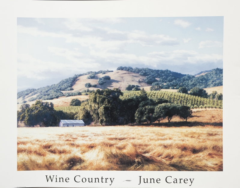 Wine Country by artist June Carey